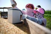 China calls for comprehensive measures to ensure food security