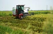 Inland Chinese province hosts CIIE exhibitors to further business cooperation