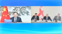 China, Georgia vow to strengthen cooperation between legislatures 