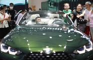 China's auto market recovers with stimulus policies 