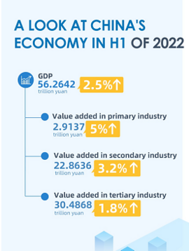 Infographic I: A look at China's economy in H1 of 2022