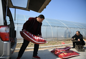 China's supply and marketing cooperatives report steady sales growth