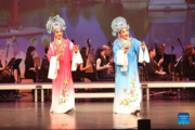 Feature: Int'l art festival in Southern California showcases Chinese traditional drama