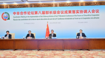 Chinese FM makes proposal on building China-Africa community with shared future