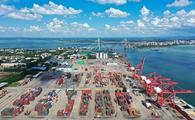China's ports see steady throughput growth in July