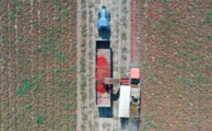 Economic Watch: Machinery taking harvester's seat in China's rural fields