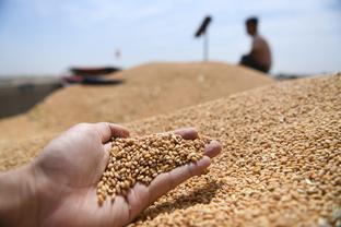 China Focus: Chinese, foreign experts discuss food security at wheat congress 