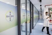 China's IP protection wins recognition of foreign enterprises: survey 