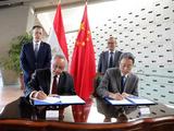 China cultural center donates books to Egypt's Alexandria library