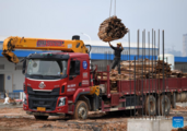 In pics: construction site of e-commerce logistics zone project in China's Guangxi 