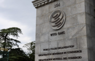 China ready to promote WTO reform with other G20 members: commerce ministry