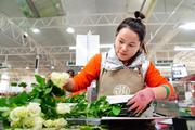 Cut flower developes into leading industry in Zhaoxian Town, Shandong 