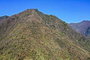 China policy bank commits loans to national reserve forest