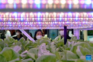 New technologies of smart agriculture on display at 5th CIIE in Shanghai