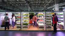 Economic Watch: Online shopping spree sees imported products gain Chinese market steam 