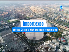 GLOBALink | Import expo boosts China's high-standard opening-up