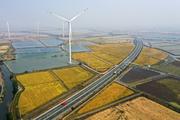 Interview: China brings "hope" for fighting climate change with efforts to develop renewable energy: official 
