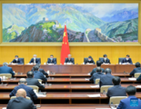 Chinese vice premier stresses water conservancy, agricultural production 