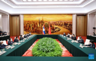China's top legislator meets with Lao president