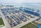 China Focus: China, a leading growth engine for world economy amid COVID-19 control