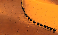 GLOBALink | China-Arab cooperation gaining momentum under BRI