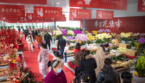 China witnesses New Year consumption recovery 