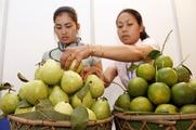 China a key buyer of Cambodia's agricultural products