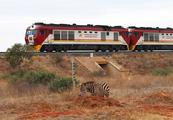 World Insights: How China honors its commitments to Africa cooperation in the new era 