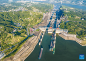 Three Gorges Dam ship locks log record monthly cargo throughput