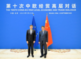 China ready to advance comprehensive strategic partnership with EU: vice premier