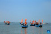 Harvest season begins for China's popular crabs