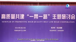 GLOABALink | Hungarian experts expect deepening friendship with China via BRI