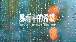 【Belt and Road Live】Hope in the Heavy Rainstorm
