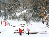 嬉雪赏冰八里坡
