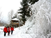 嬉雪赏冰八里坡