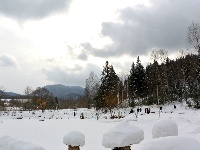 嬉雪赏冰八里坡