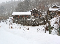 嬉雪赏冰八里坡