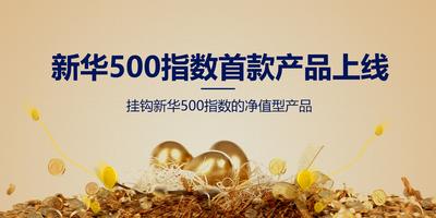 新华500指数首款净值型理财产品正式上线