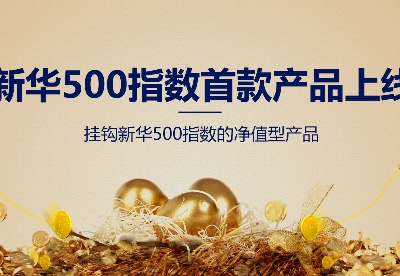 新华500指数首款净值型理财产品正式上线