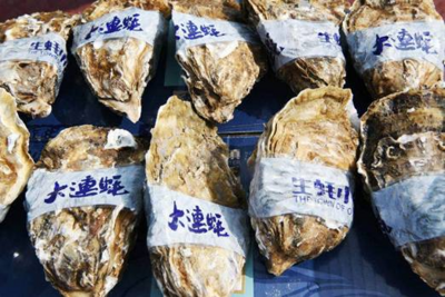 新华社“快看”带你观大美庄河 品山海之味