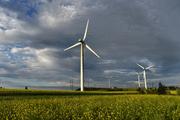 China's listed power companies generate 281.5 bln kWh electricity in 2019: EY report 