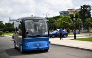 S. China Hainan sees 5,580 new energy vehicles put in use 