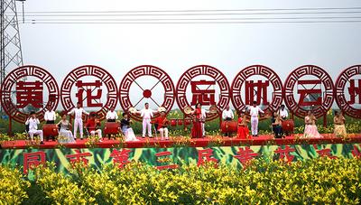山西大同设立20亿元黄花产业发展投资基金打造“金色名片”