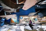  "Go-digital" sheds new light into China's cultural tourism industry