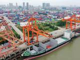 Baltic Exchange to hold webinar on freight market risks tracking and management