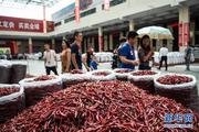 The 5th international chili expo kicks off in SW. China's Guizhou