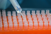 Hong Kong expected to be world's largest biotech financing center in next 5-10 years