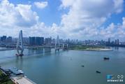 ​Over 400 new foreign-funded companies settle in S China's island province Hainan in Jan-Aug