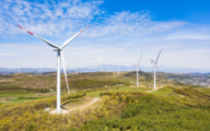 China's non-fossil energy expected to enjoy explosive growth in 2021-2025, report 