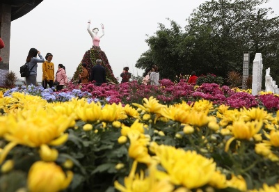 重庆第24届菊花艺术展将在巴南启幕